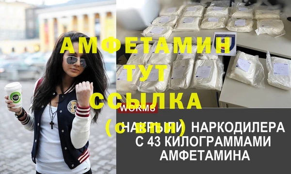 хмурый Алзамай