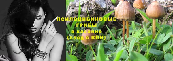 хмурый Алзамай