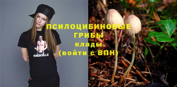 хмурый Алзамай